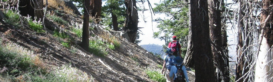 Hiking nearby Western Big Sky Inn